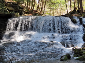 picture taken during a hike