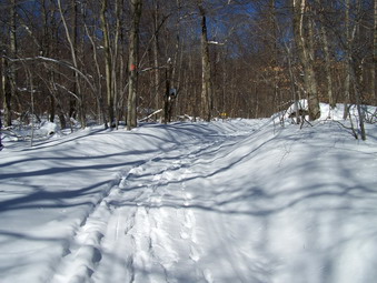 picture taken during a hike