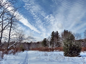 picture taken during a hike