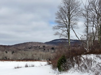 picture taken during a hike