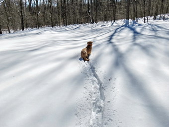 picture taken during a hike