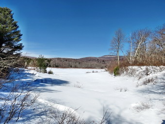 picture taken during a hike