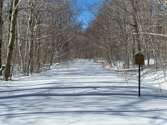 picture taken during a hike