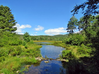 picture taken during a hike