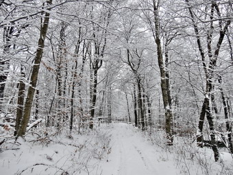 picture taken during a hike