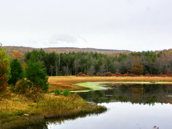 picture taken during a hike