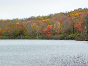 picture taken during a hike