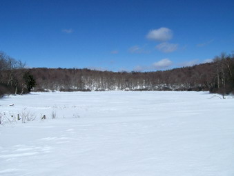 picture taken during a hike