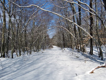 picture taken during a hike