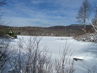 picture taken during a hike