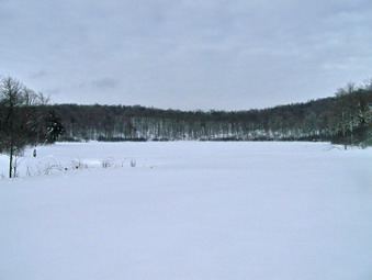 picture taken during a hike