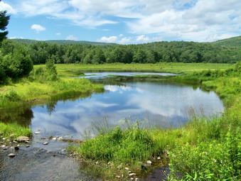 picture taken during a hike