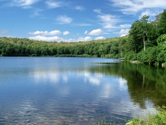 picture taken during a hike