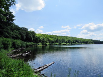 picture taken during a hike