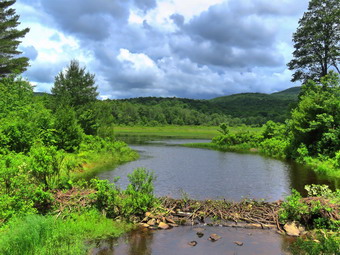 picture taken during a hike