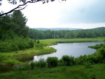 picture taken during a hike