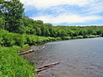 picture taken during a hike