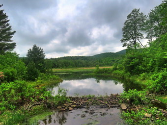 picture taken during a hike