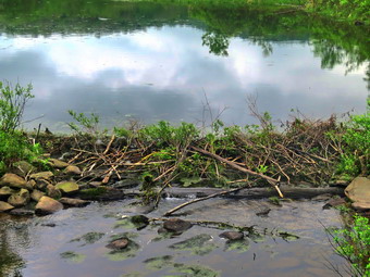 picture taken during a hike