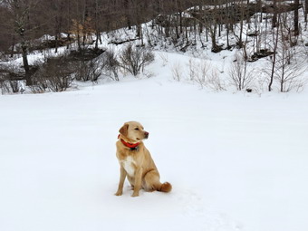 picture taken during a hike