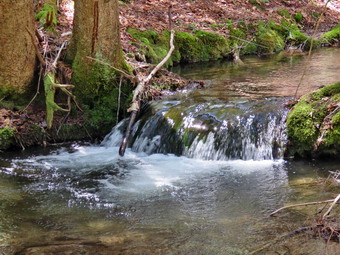 picture taken during a hike