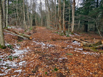 picture taken during a hike