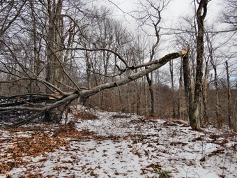 picture taken during a hike