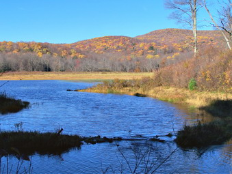 picture taken during a hike