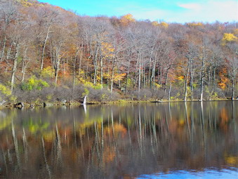 picture taken during a hike