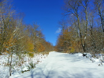 picture taken during a hike