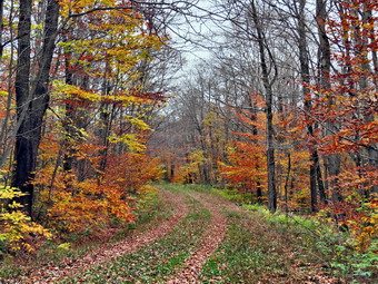 picture taken during a hike