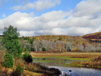 picture taken during a hike