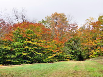 picture taken during a hike