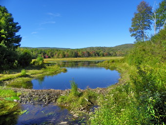 picture taken during a hike