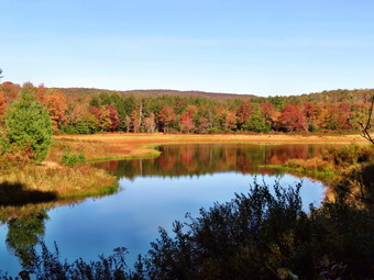 picture taken during a hike