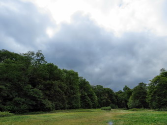 picture taken during a hike