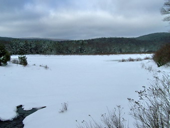 picture taken during a hike