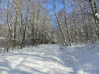 picture taken during a hike