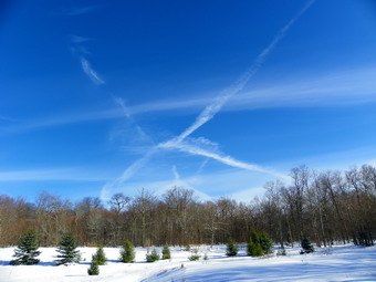 picture taken during a hike