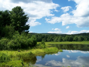 picture taken during a hike