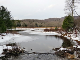 picture taken during a hike