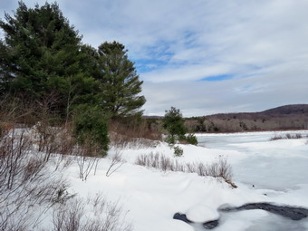 picture taken during a hike