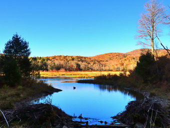 picture taken during a hike