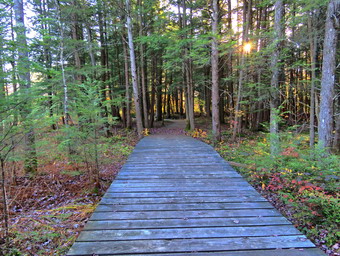 picture taken during a hike