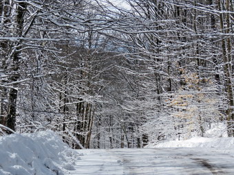 picture taken during a hike