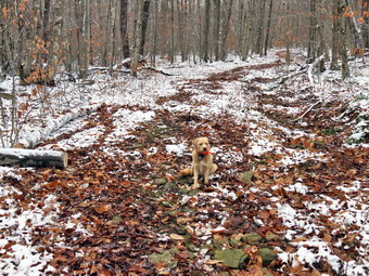 picture taken during a hike