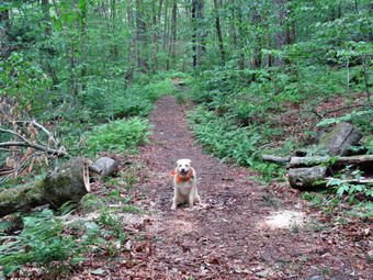 picture taken during a hike