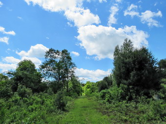 picture taken during a hike