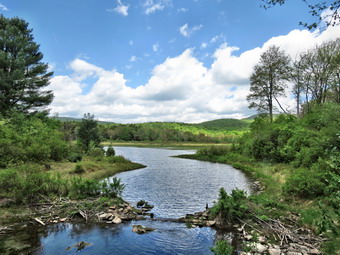 picture taken during a hike