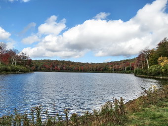 picture taken during a hike